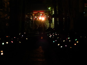 DSCN9331