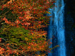秋の要害の滝