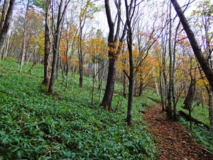 DSCN7617