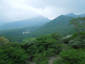 那須岳とゴヨウツツジ