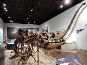 那須野が原博物館大恐竜展