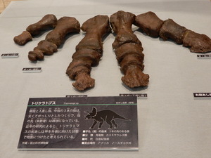 那須野が原博物館大恐竜展