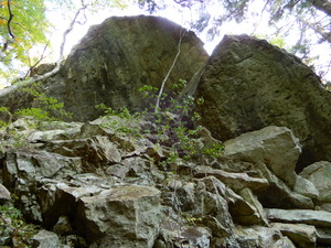 DSCN9224
