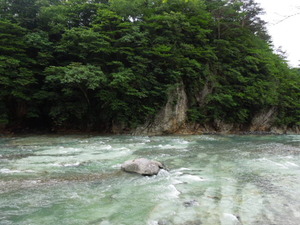 きれいな川底
