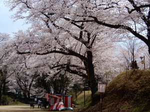 DSCN9456
