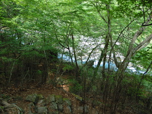 DSCN3955