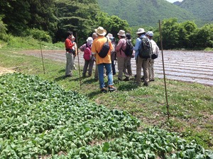 かぶ農家見学ウオーキング
