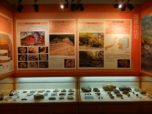 那須野が原博物館常設展