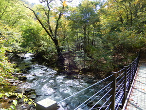 DSCN8157