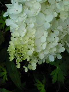 6f340a23.jpg