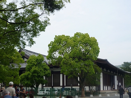 P1070537-s