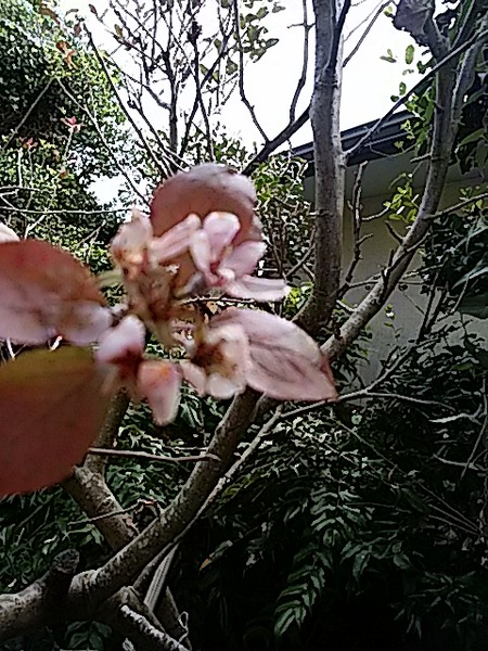 892045de.jpg
