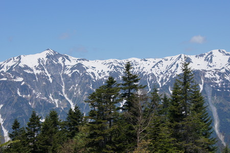 DSC08511