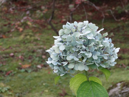 DSC01733