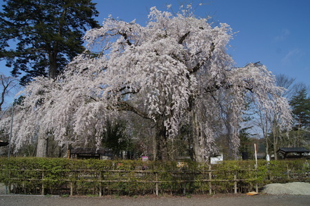 DSC09585