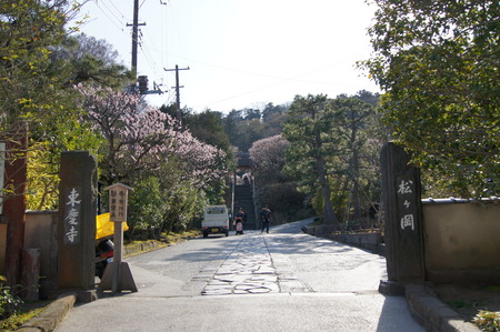DSC07349