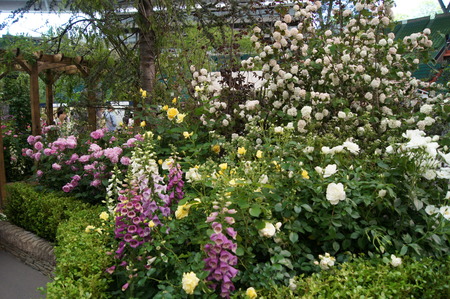 DSC06201
