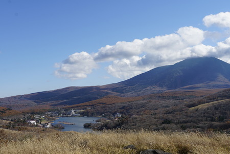 _DSC0414