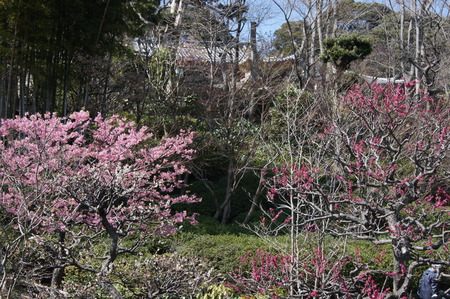 DSC07224
