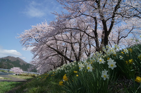 DSC09652