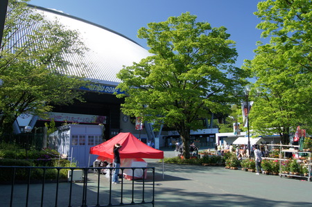 DSC06165