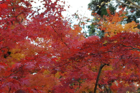 DSC00104
