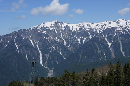 DSC08485