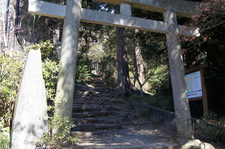 DSC05564