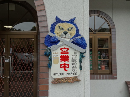 DSC03866