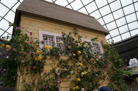 DSC06205