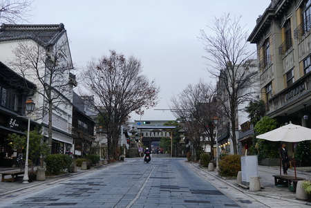 _DSC0441