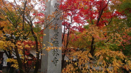 DSC00948