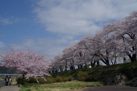 DSC09647