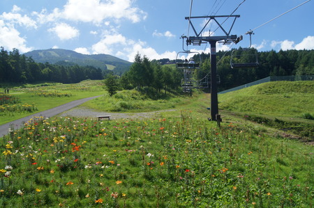 DSC09913