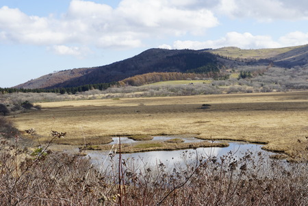 _DSC0428