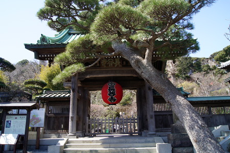 DSC07218