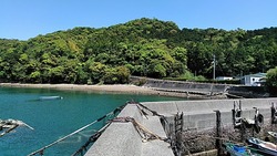 line_1524020764064