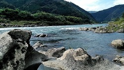 line_1537148101745