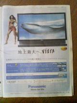 小雪小さっ! いや、TVがデカイんです