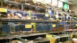 819ab0a1.jpg
