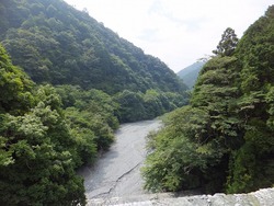 DSCF0003