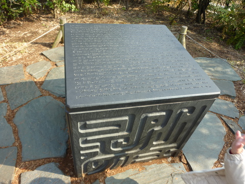 P1030236