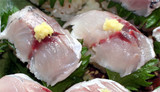 鯵寿司