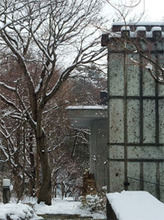 niki2013-winter