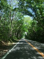 nasu-road