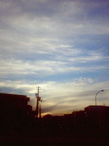 4b89d8ab.jpg