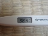 ねつ
