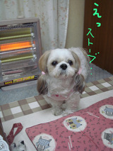 BlogPaint