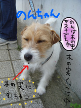 BlogPaint