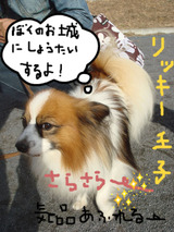 BlogPaint
